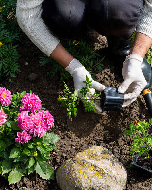 Kotipuutarha ensisijaisesti laajentaa perheen elintilaa. 